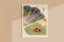 Great Barrier Reef Anemones Vintage Illustrations Print